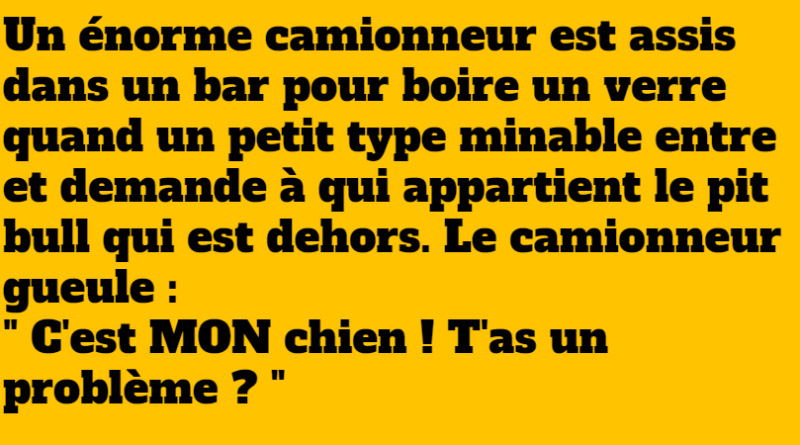 blague le chien minuscule