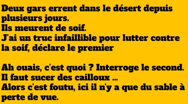 blague les deux génies