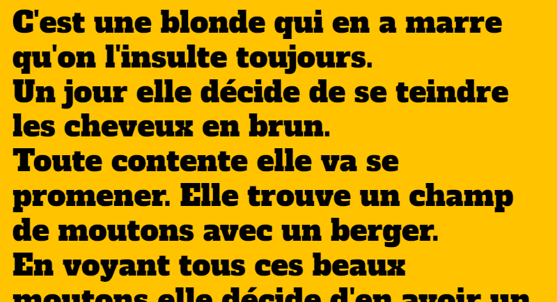 blague une blonde se deguise