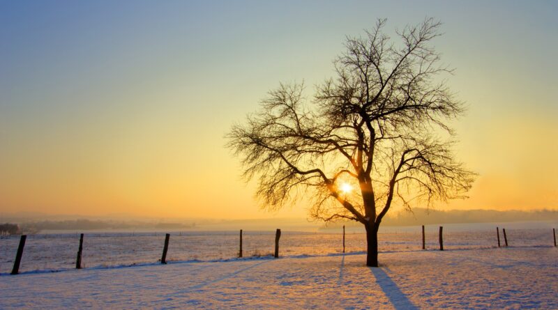 nature neige