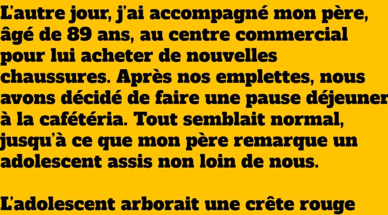 blague l'homme âgé et le punk