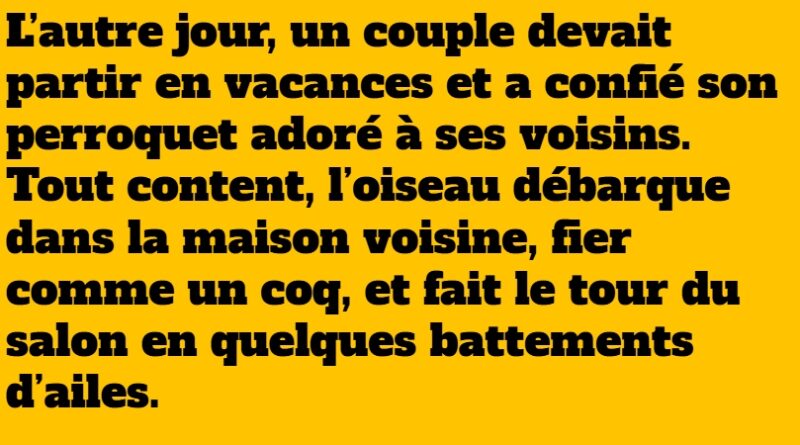 blague perroquet 1