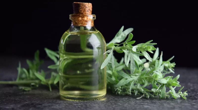 Absinthe