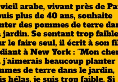 blague arabe