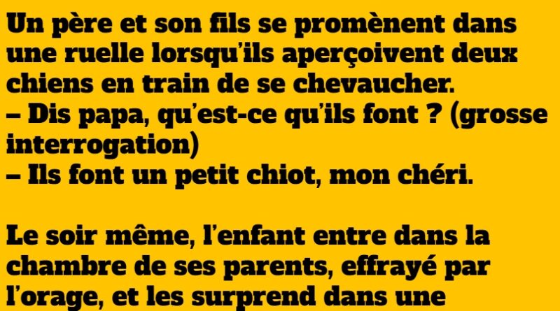 blague chiens et levrettes