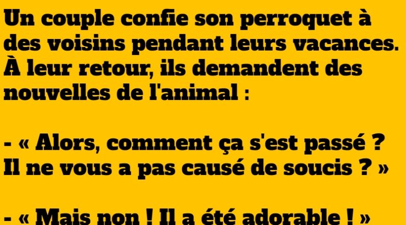 blague perroquet