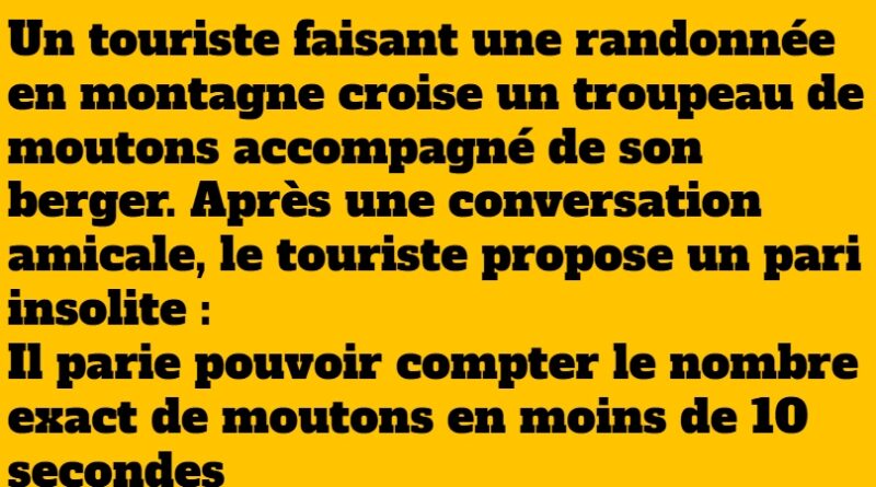 blague représentant de commerce