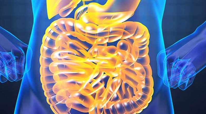 remèdes indigestion