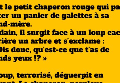 Chaperon Rouge vs Loup : La Blague qui Défie le Conte Classique 
