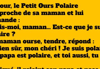 Le petit ours polaire et son mystère