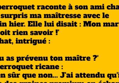 blague perroquet