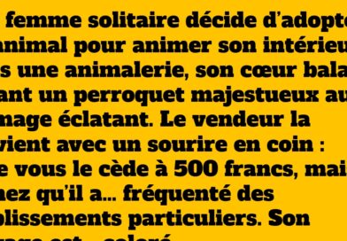 Le perroquet indélicat – Blague osée sur un oiseau cafteur