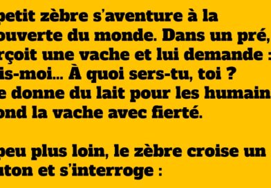 Le petit zèbre et sa grande question