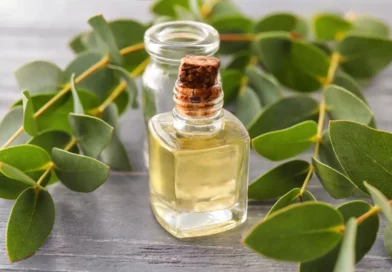 Remèdes de grand-mère pour l’asthme : tradition, bienfaits et limites