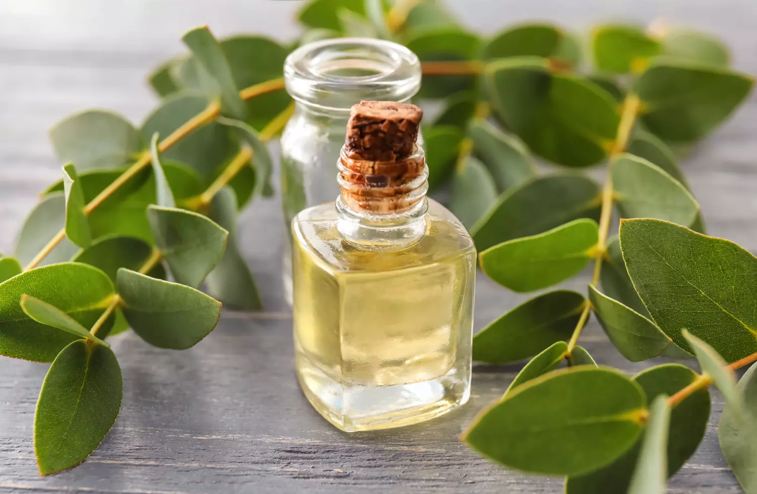 Remèdes de grand-mère pour l’asthme : tradition, bienfaits et limites