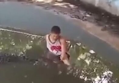 homme attaqué par un reptile