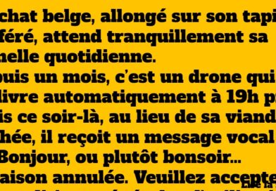blague belge (1)
