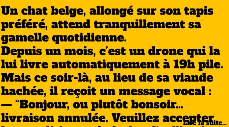 blague belge (1)
