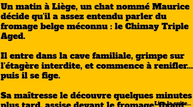 blague chat belge