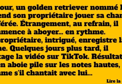 blague chien chanteur