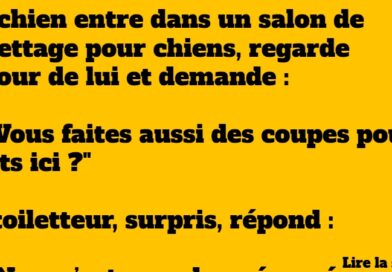 blague chien et chat