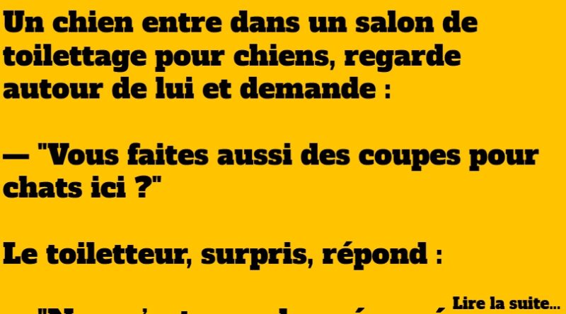 blague chien et chat