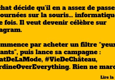 blague chien qui veut devenir