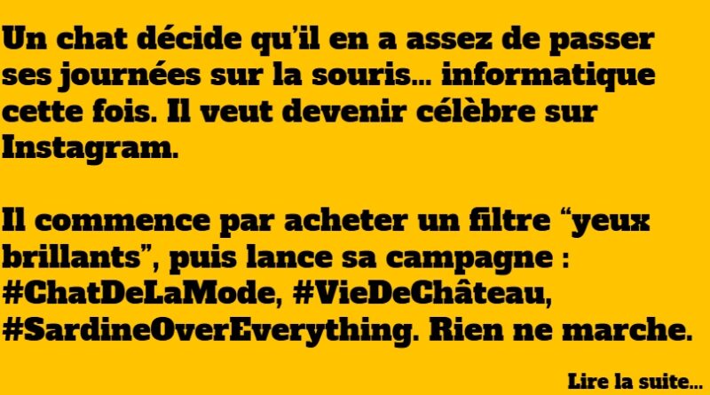 blague chien qui veut devenir