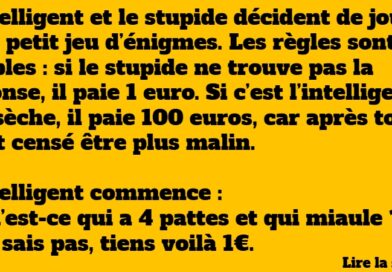 Un jeu pas si stupide que ça !