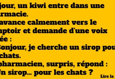 blague kiwi