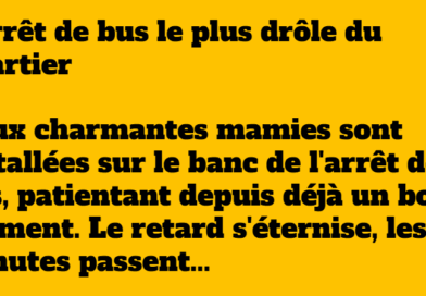 blague mamie arrêt de bus