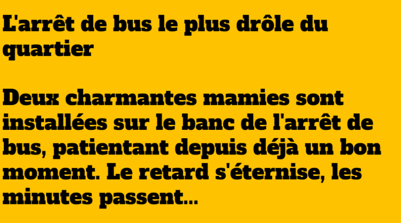blague mamie arrêt de bus
