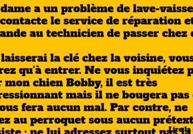 blague perroquet