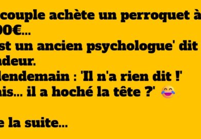 blague perroquet