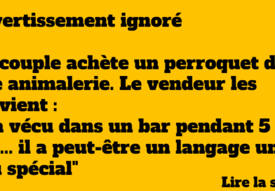 blague perroquet bar