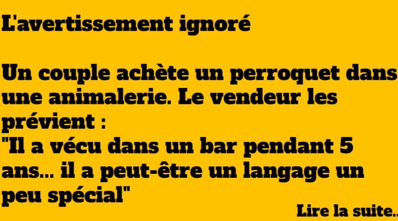 blague perroquet bar