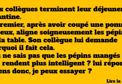 blague pommes