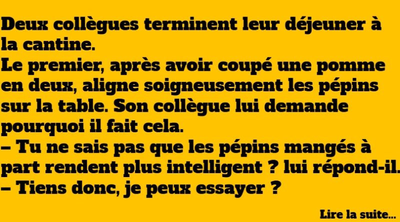 blague pommes