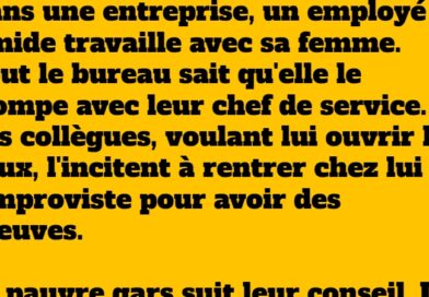 blague timide