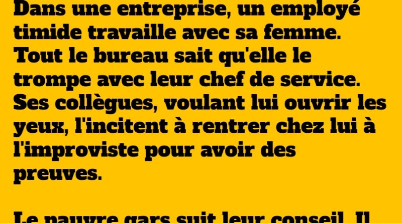 blague timide