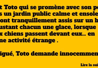 blague toto