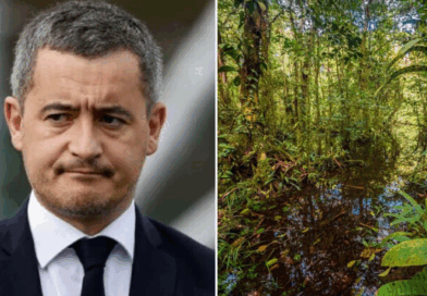 darmanin