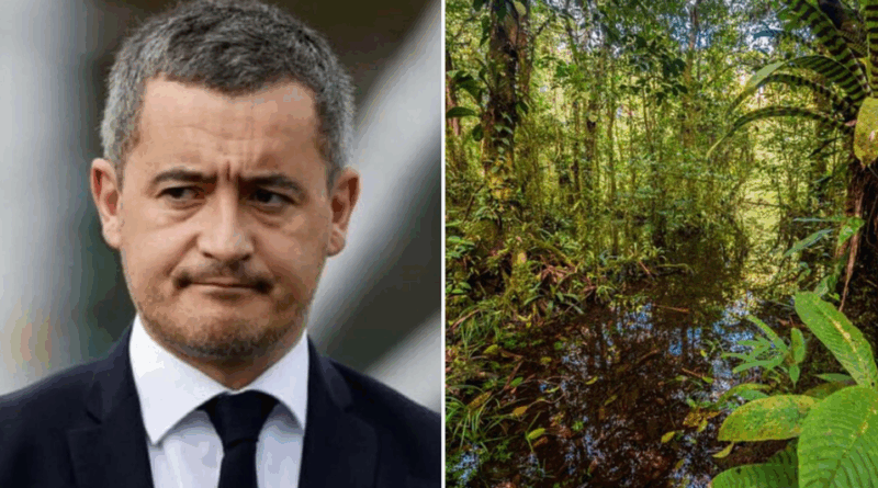 darmanin