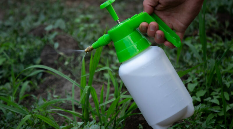 Désherbant maison au vinaigre blanc : Écologique, efficace et économique