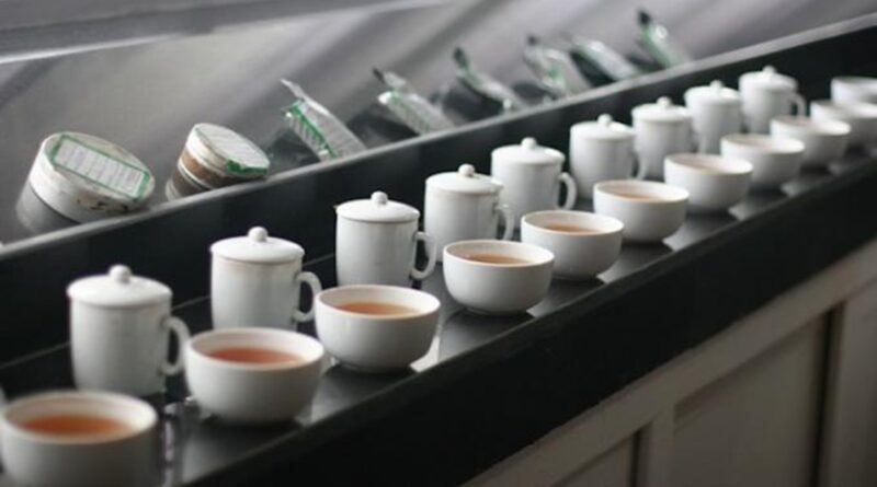 quel-type-the-tisane-boire-6182
