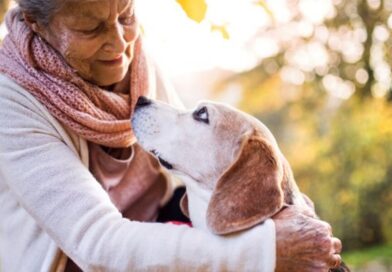 Animaux de compagnie en Ehpad : une nouvelle ère pour les maisons de retraite en 2025