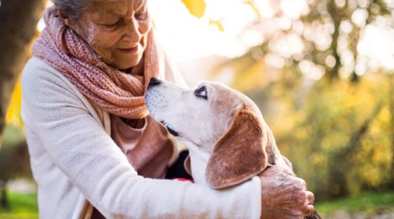 Animaux de compagnie en Ehpad : une nouvelle ère pour les maisons de retraite en 2025