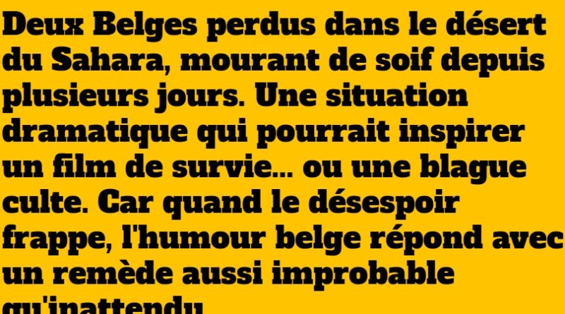 blague deux belges