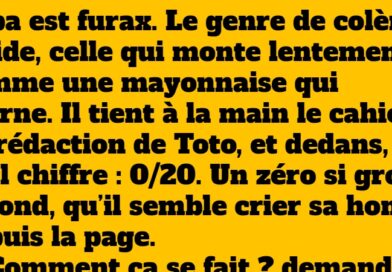 blague toto furax