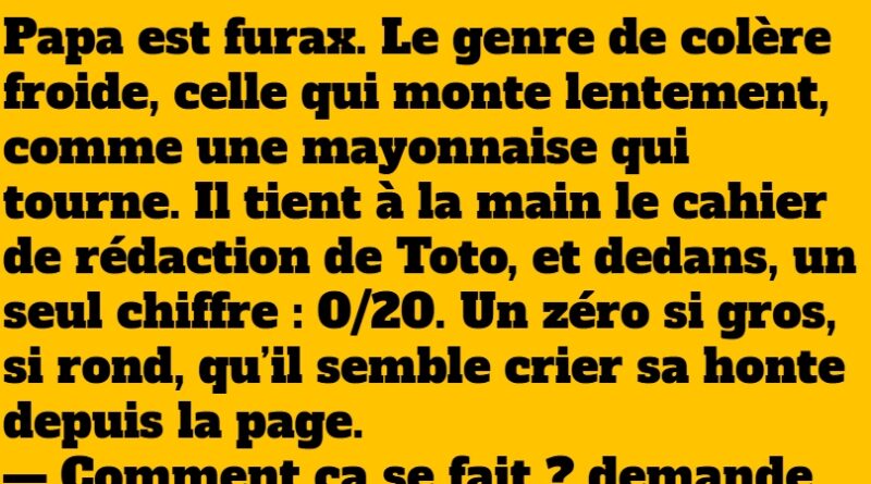 blague toto furax